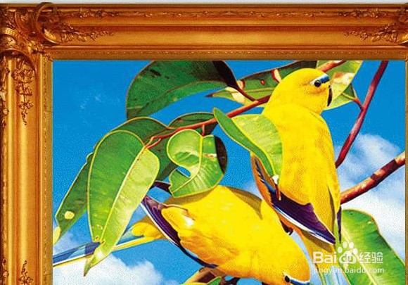 光栅立体画制作教程