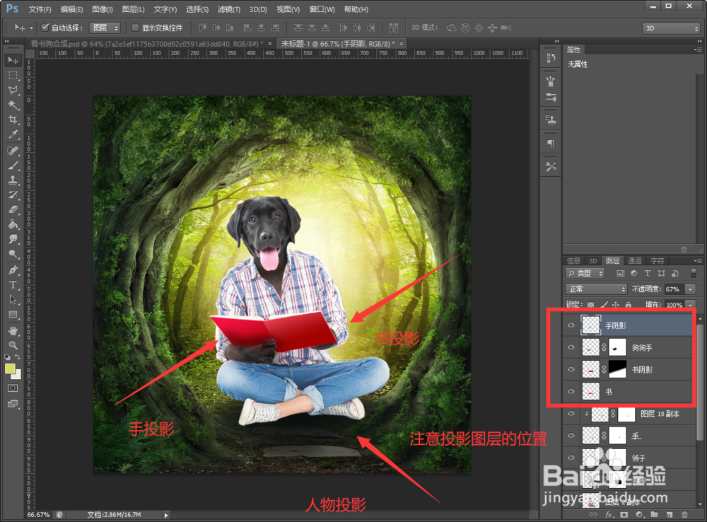 PS如何合成看书狗狗的创意人物海报