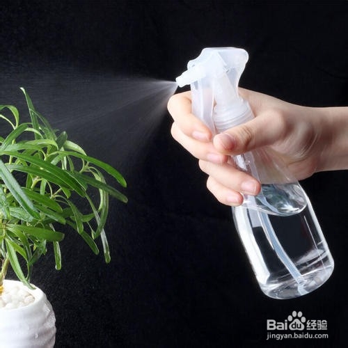 花农的养花口诀