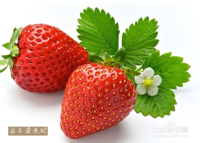 草莓怎么吃营养