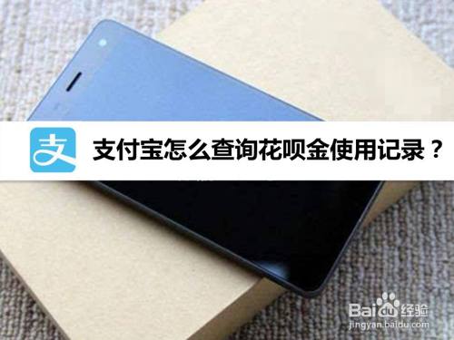 支付宝怎么查询花呗金使用记录