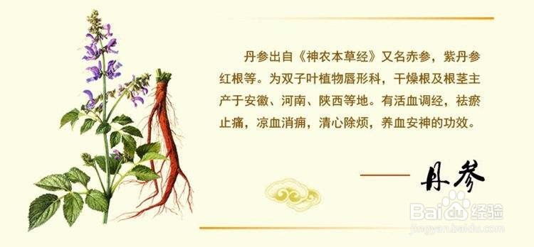 破壁草本西洋参的服用方法