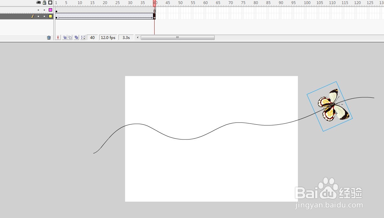 flash制作蝴蝶按照引导线进行飞翔的动画
