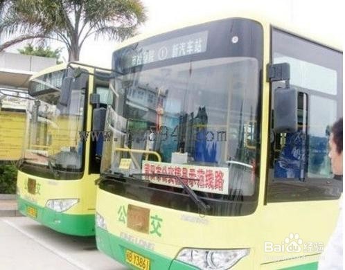 报考公交驾驶员该注意什么？