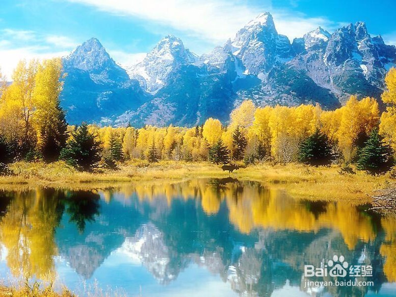 高考完以后怎么办？【必看】