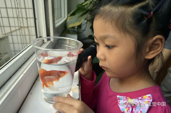 小学生专注力训练最有效的方法