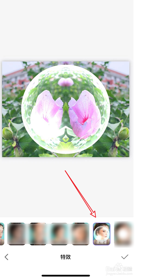 proknocknot 中给图片添加玻璃球效果的方法