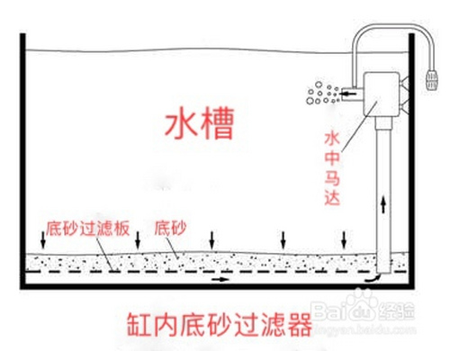 生活/家居 > 寵物缸內底砂過濾器也稱為底砂過濾器,是一種經濟實惠的