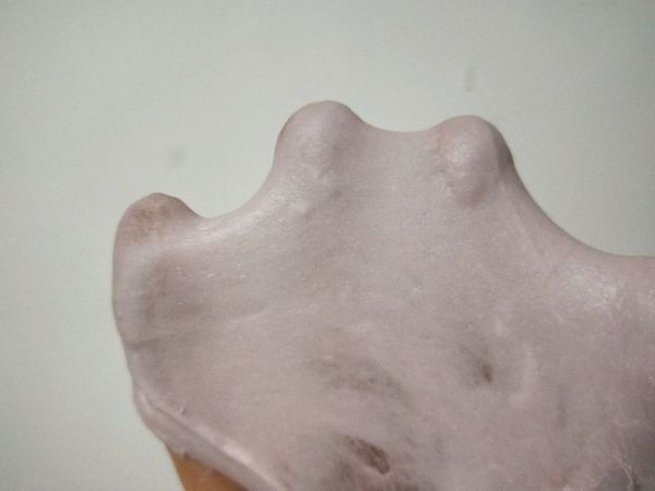 紫薯蜂蜜软欧包