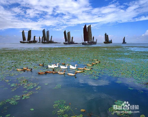 全国宜居城市排行