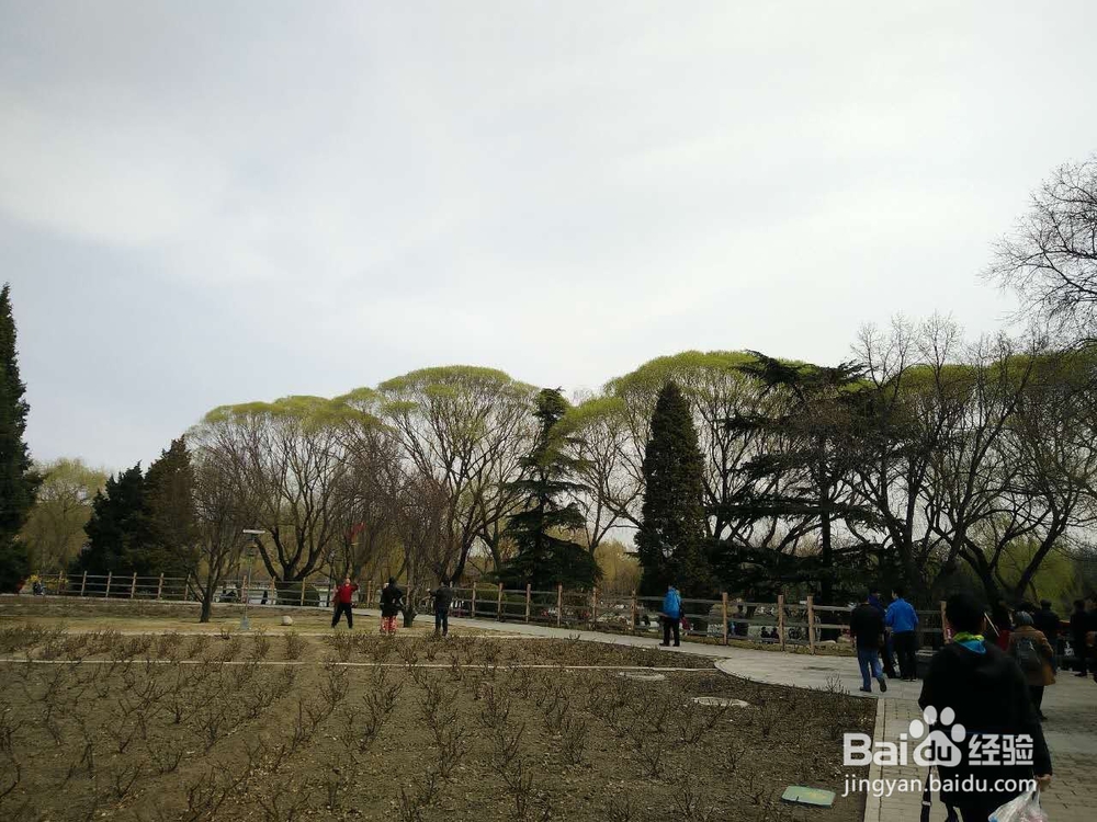 毕业后如何树立正确的方向