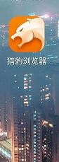 猎豹手机浏览器怎么清除缓存与cookie