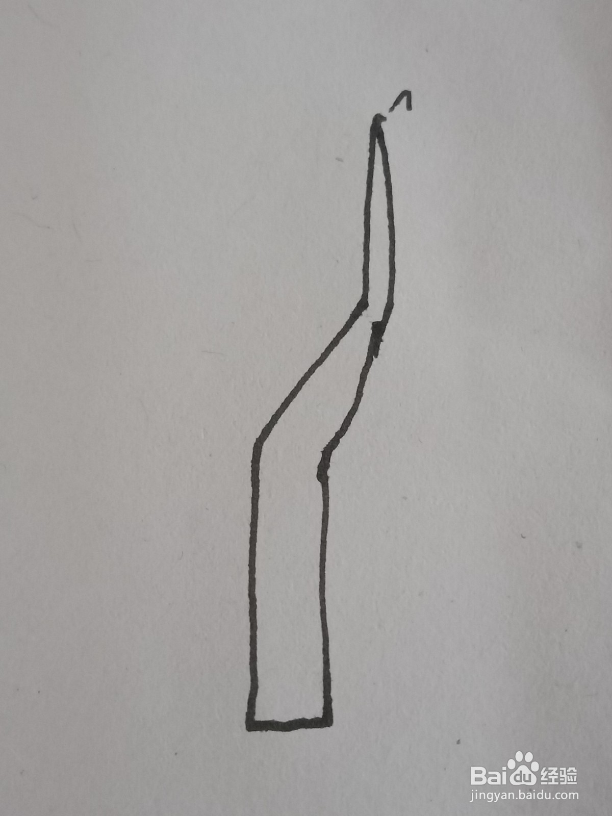 幼儿园简笔画树木