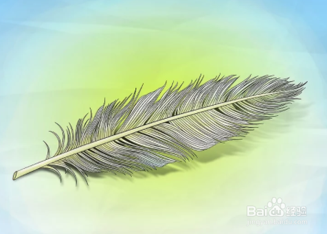 如何绘制羽毛