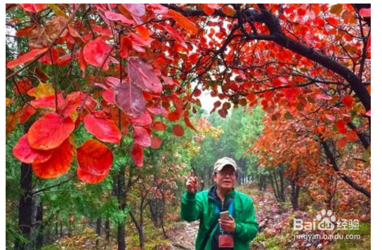 中秋节小长假怎么娱乐？