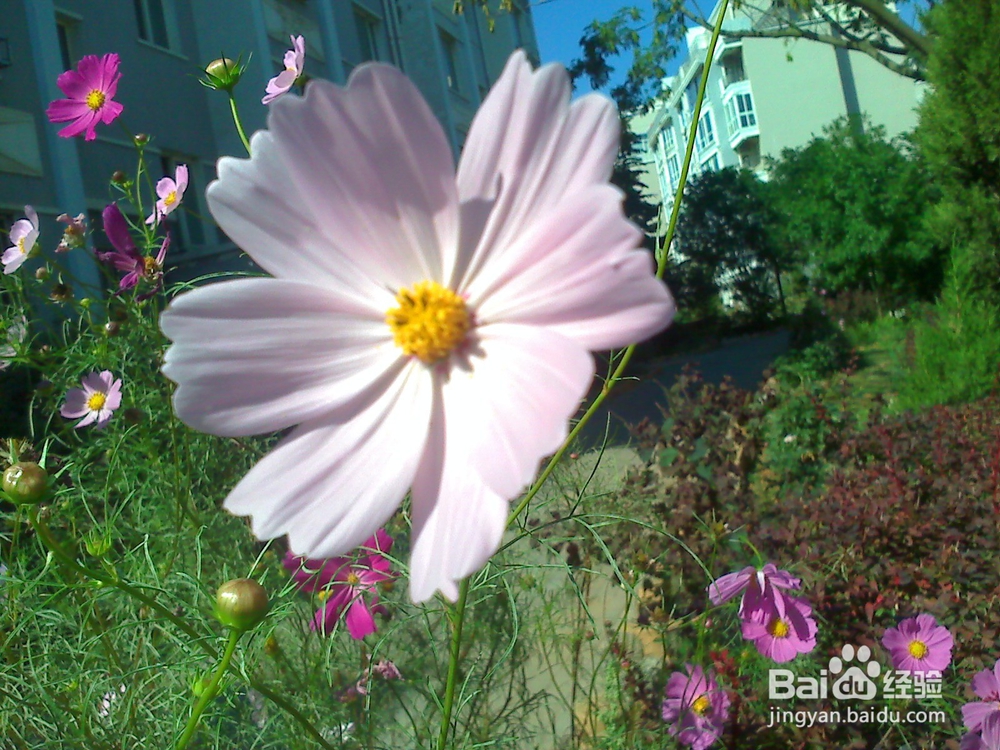 读书的好处---13