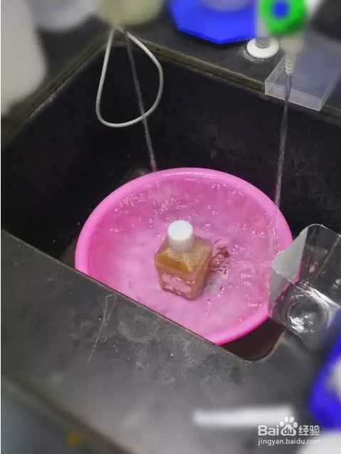 胎牛血清融化三步法