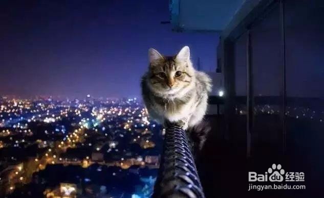 5个摄影小技巧，拍出碾压朋友圈的风光照！