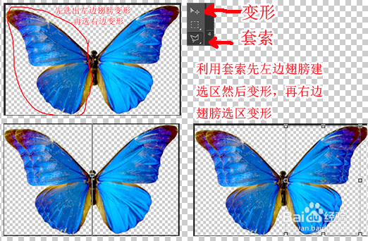 裸眼3D之魔幻动画