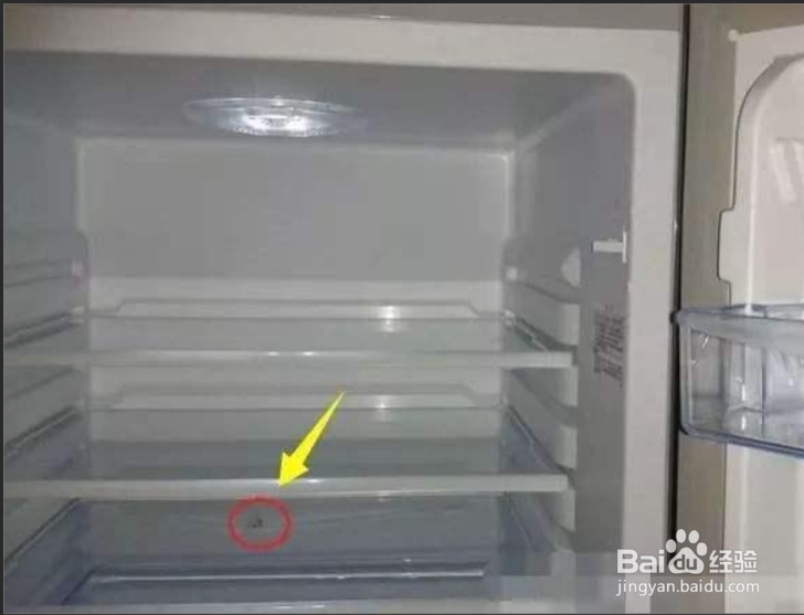 冰箱最下面一层结冰怎么处理