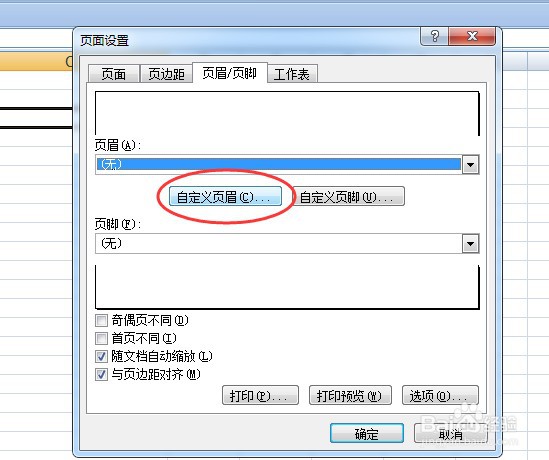 如何设置Excel的页码