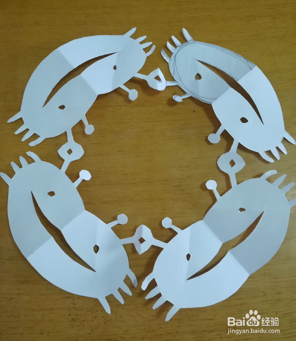 四角折剪——娃娃蟹