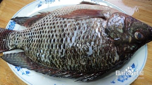 煎焗黑鲫鱼