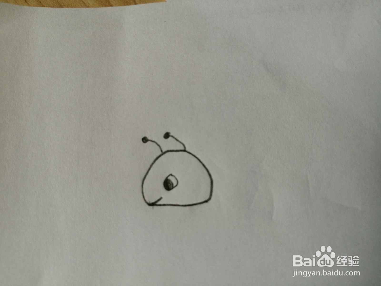 简笔画-可爱卡通蚂蚁简笔画