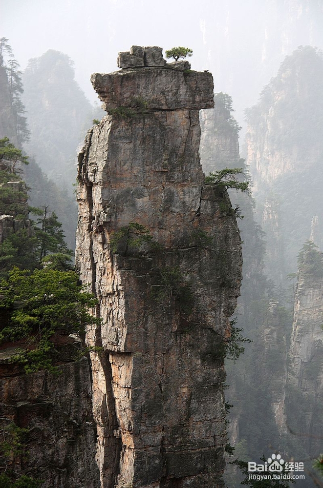 常德到张家界自助游攻略