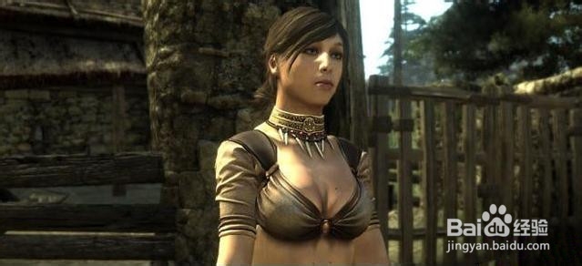 两个世界2：史诗版 英文版 奇幻大陆的种族战争