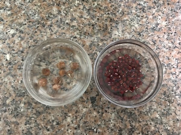 春天不忘䃼血养颜 红豆补血茶
