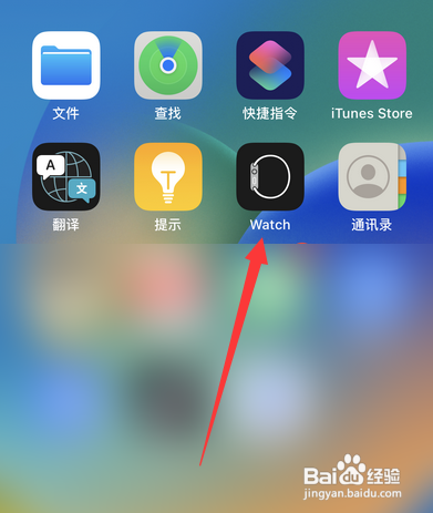 苹果手表如何设置锁屏密码