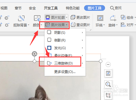 wps文档中如何将图片转为透视图片