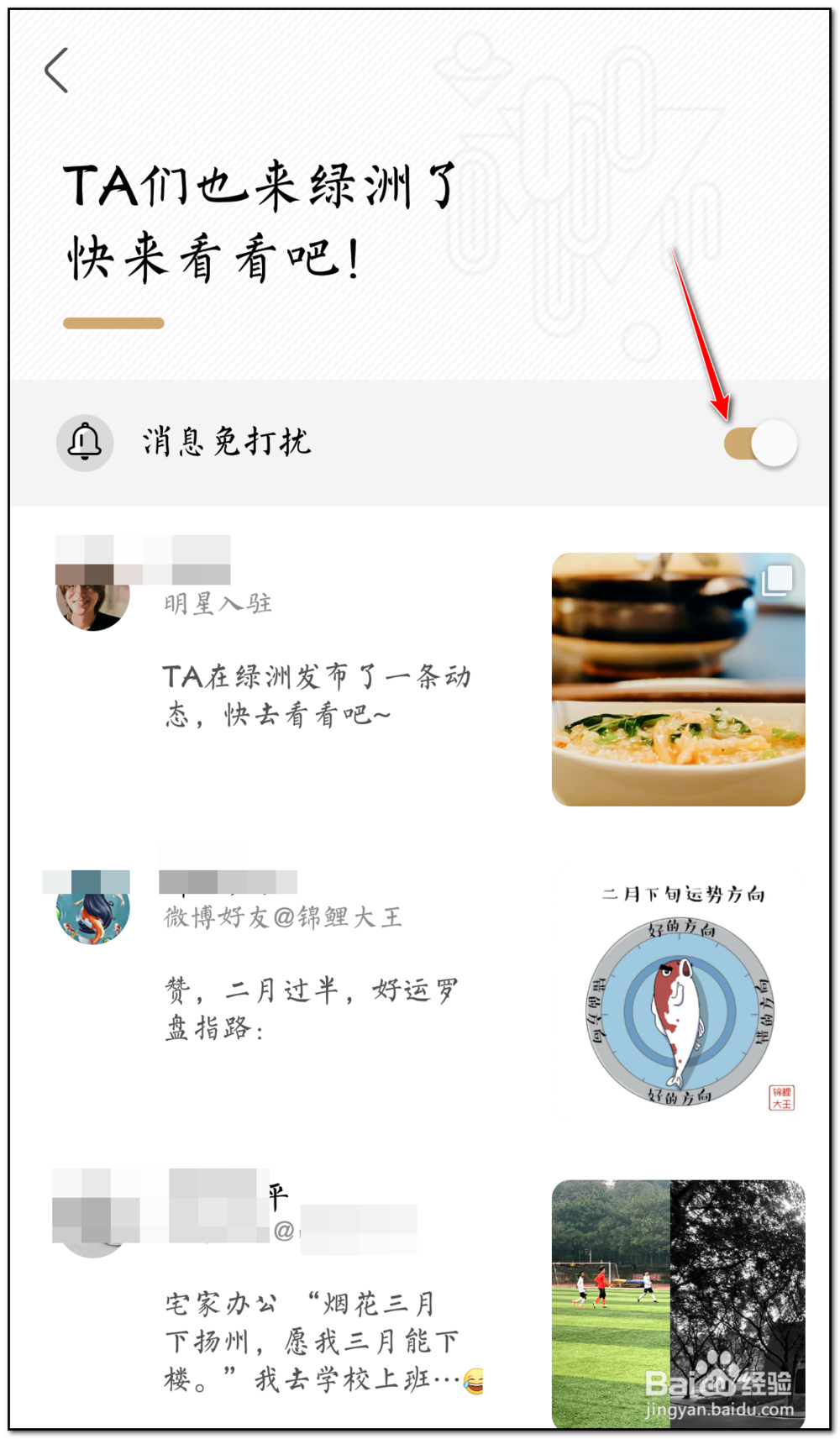 绿洲如何开启入驻免打扰