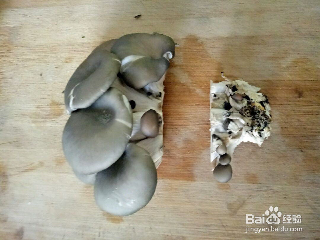 蘑菇炖豆腐的做法
