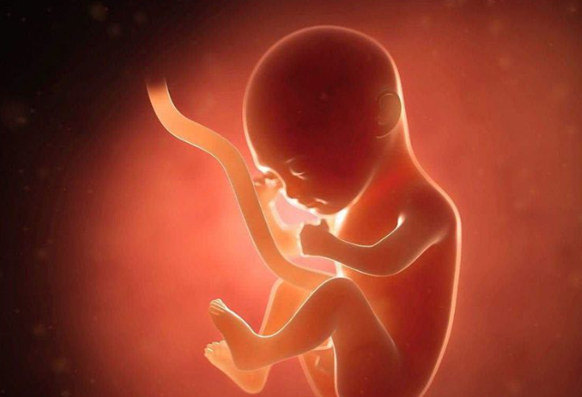 胎儿期主动脉和肺动脉的比例是多少算正常