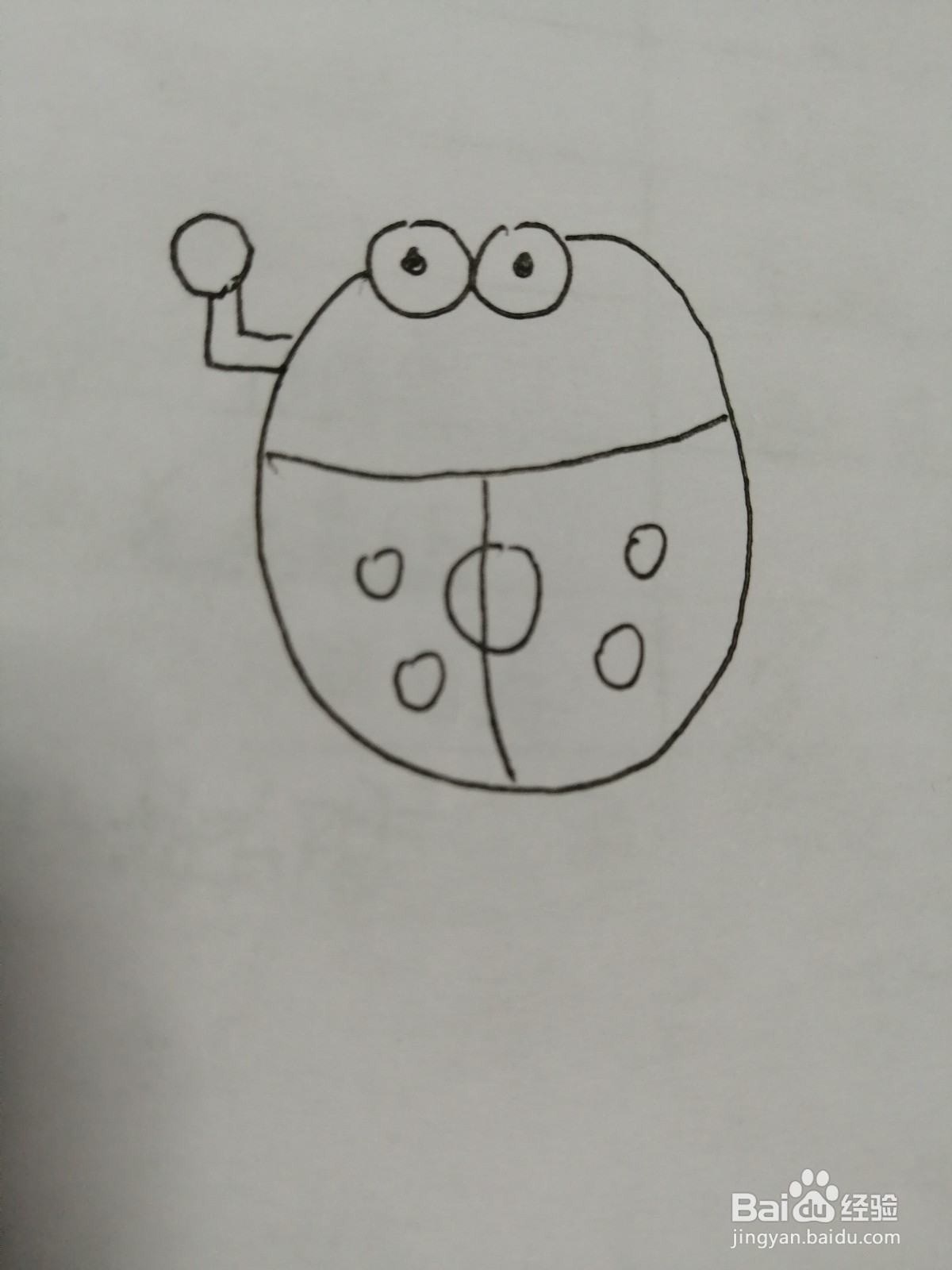 简笔画小瓢虫怎么画