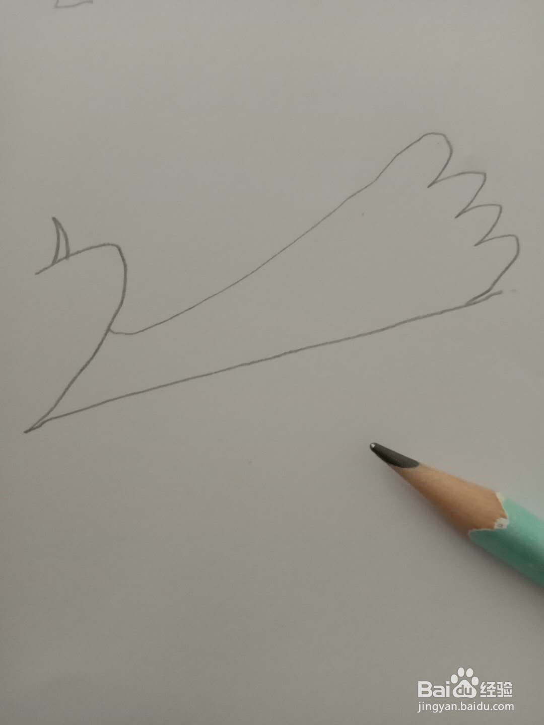 简笔画 如何画动物 孔雀
