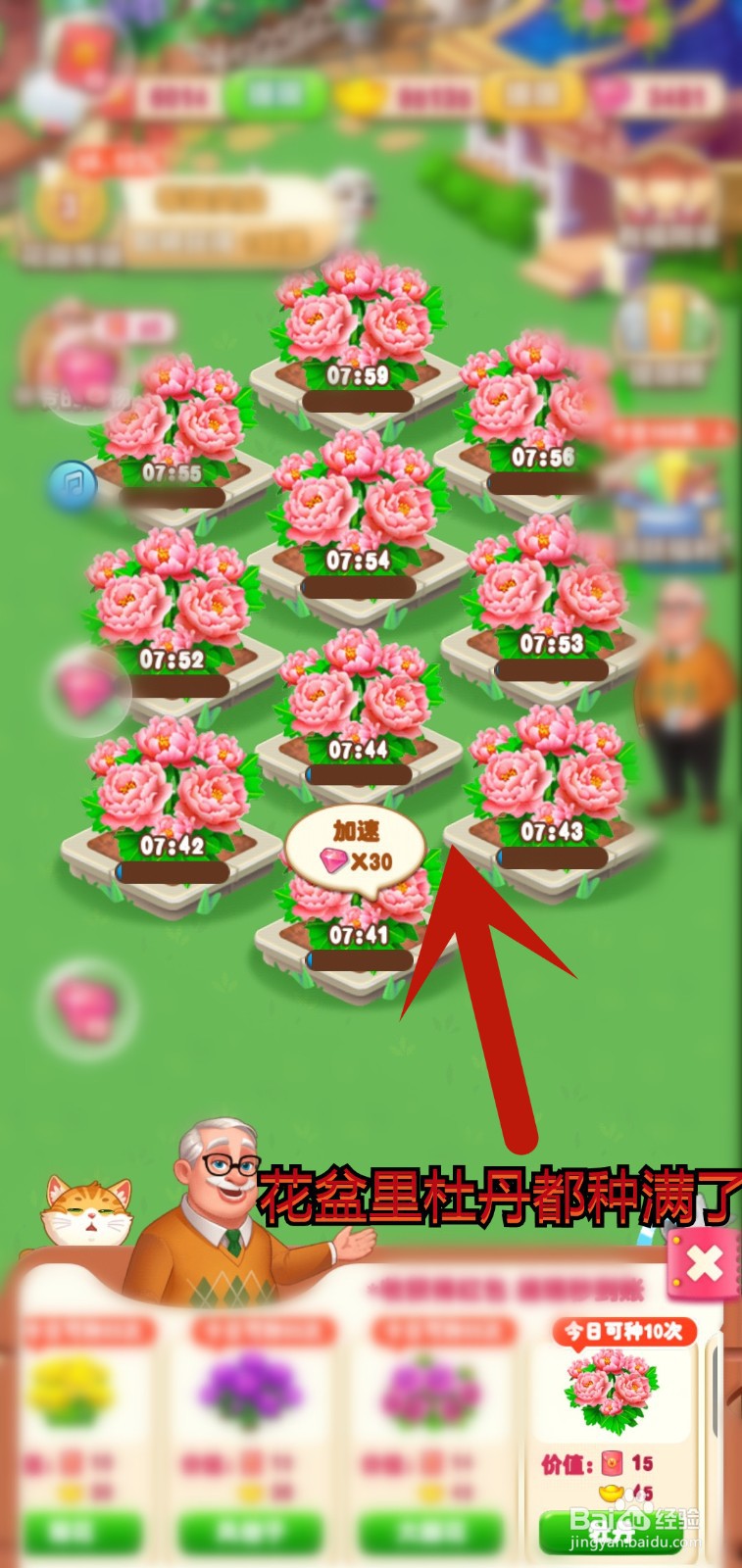 爷爷的花园怎么解锁杜丹花种植