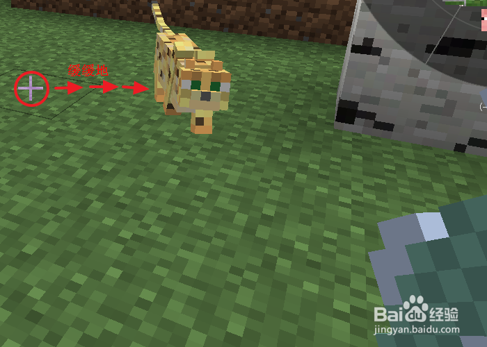 我的世界猫吃什么