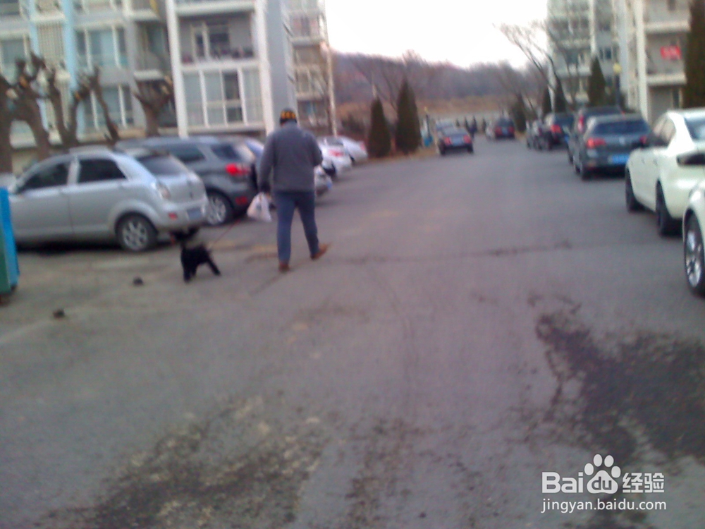 怎样告诉孩子安全出行---56