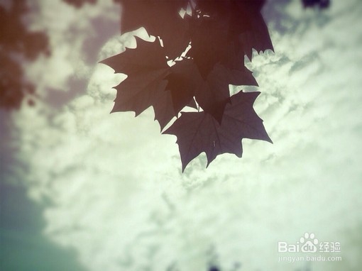 旅行前应该了解哪些事项