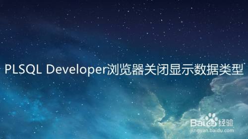 PLSQL Developer浏览器关闭显示数据类型