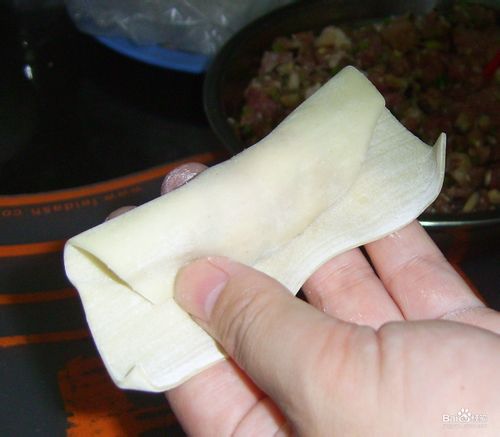 香菜肉馅大馄饨