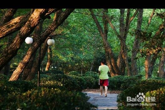 今天怎么没有末日啊