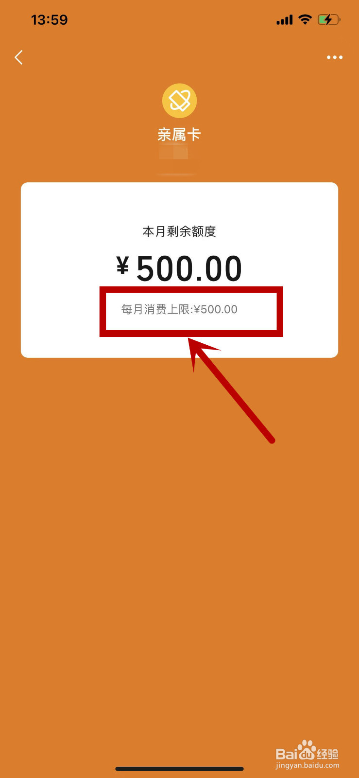 如何查看自己收到的亲属卡的每月消费上限