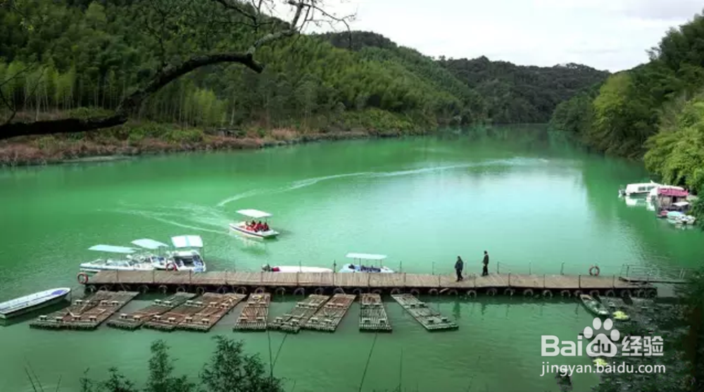 粤港澳“后花园”——明骏九曲