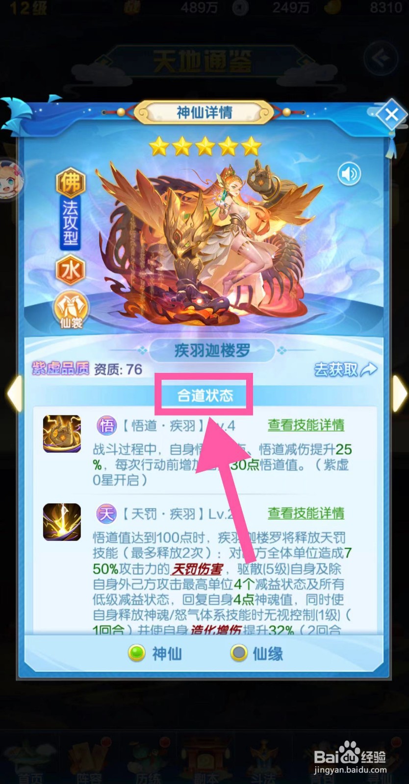 道友请留步怎么查看疾羽迦楼罗的合道状态