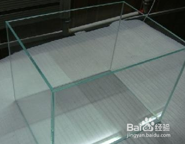 没有很好的设备如何养好金鱼