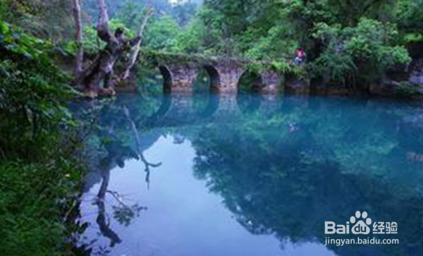 驾考科二如何一次通过?